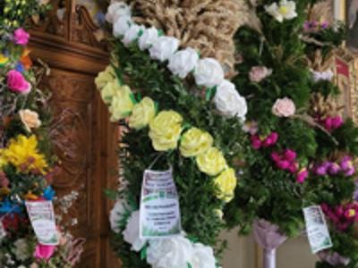 Wyjątkowe palmy z gminy Brzuze