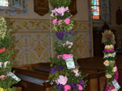 Wyjątkowe palmy z gminy Brzuze