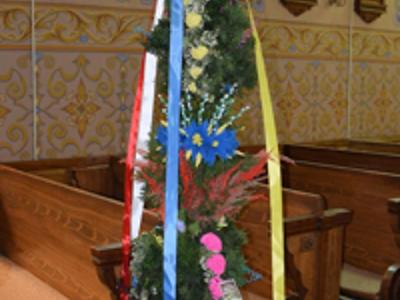 Wyjątkowe palmy z gminy Brzuze