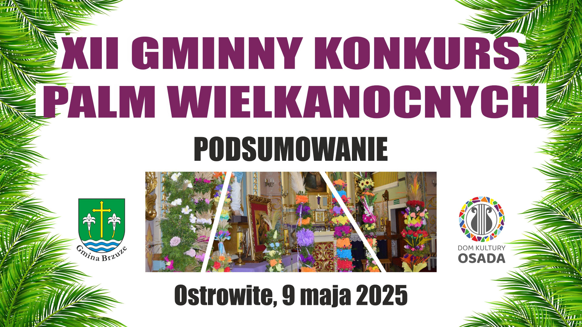 Wyjątkowe palmy z gminy Brzuze