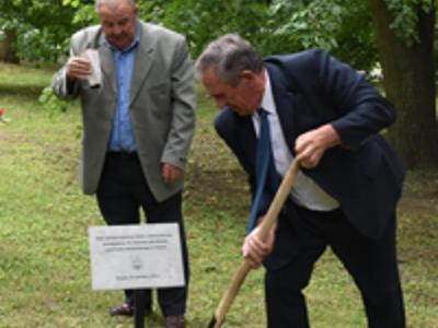 radni sadzący drzewko w parku