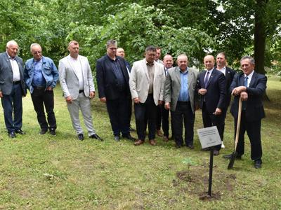 wójt i radni w parku przy posadzonym dębie