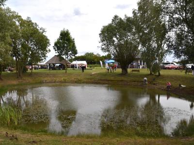 piknik seniora