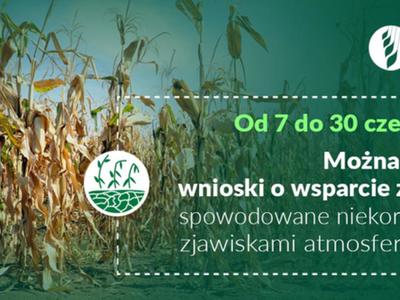 Protokoły gradowe do odbioru