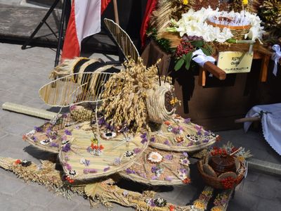 XXII Dożynki Gminne w Brzuzem