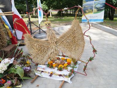 XXII Dożynki Gminne w Brzuzem