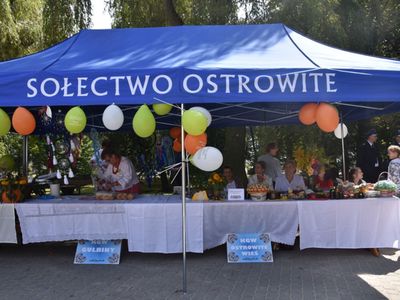 XXII Dożynki Gminne w Brzuzem