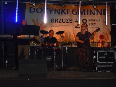 XXII Dożynki Gminne w Brzuzem