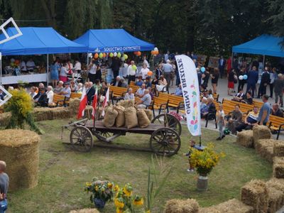 XXII Dożynki Gminne w Brzuzem