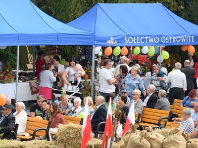 XXII Dożynki Gminne w Brzuzem