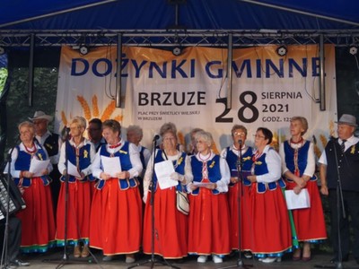 XXII Dożynki Gminne w Brzuzem