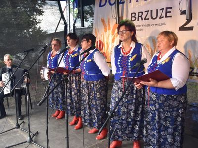 XXII Dożynki Gminne w Brzuzem