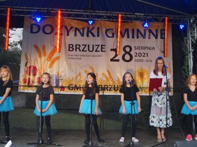 XXII Dożynki Gminne w Brzuzem