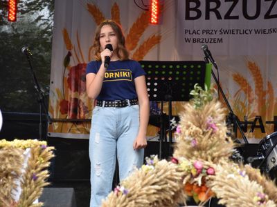 XXII Dożynki Gminne w Brzuzem