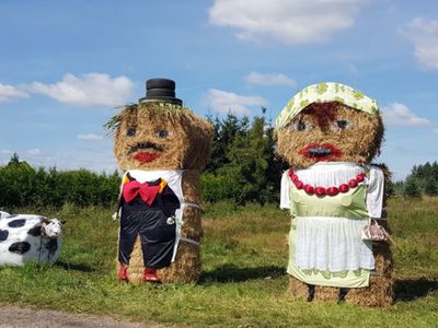 XXII Dożynki Gminne w Brzuzem