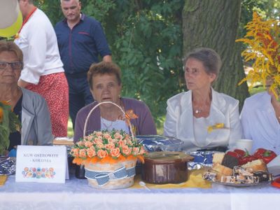 XXII Dożynki Gminne w Brzuzem