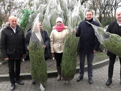 Sto choinek dla mieszkańców