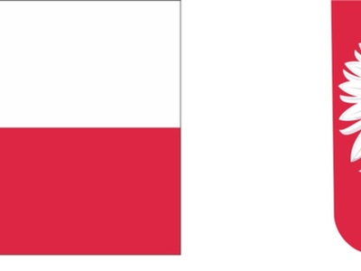 Asystent osób niepełnosprawnych