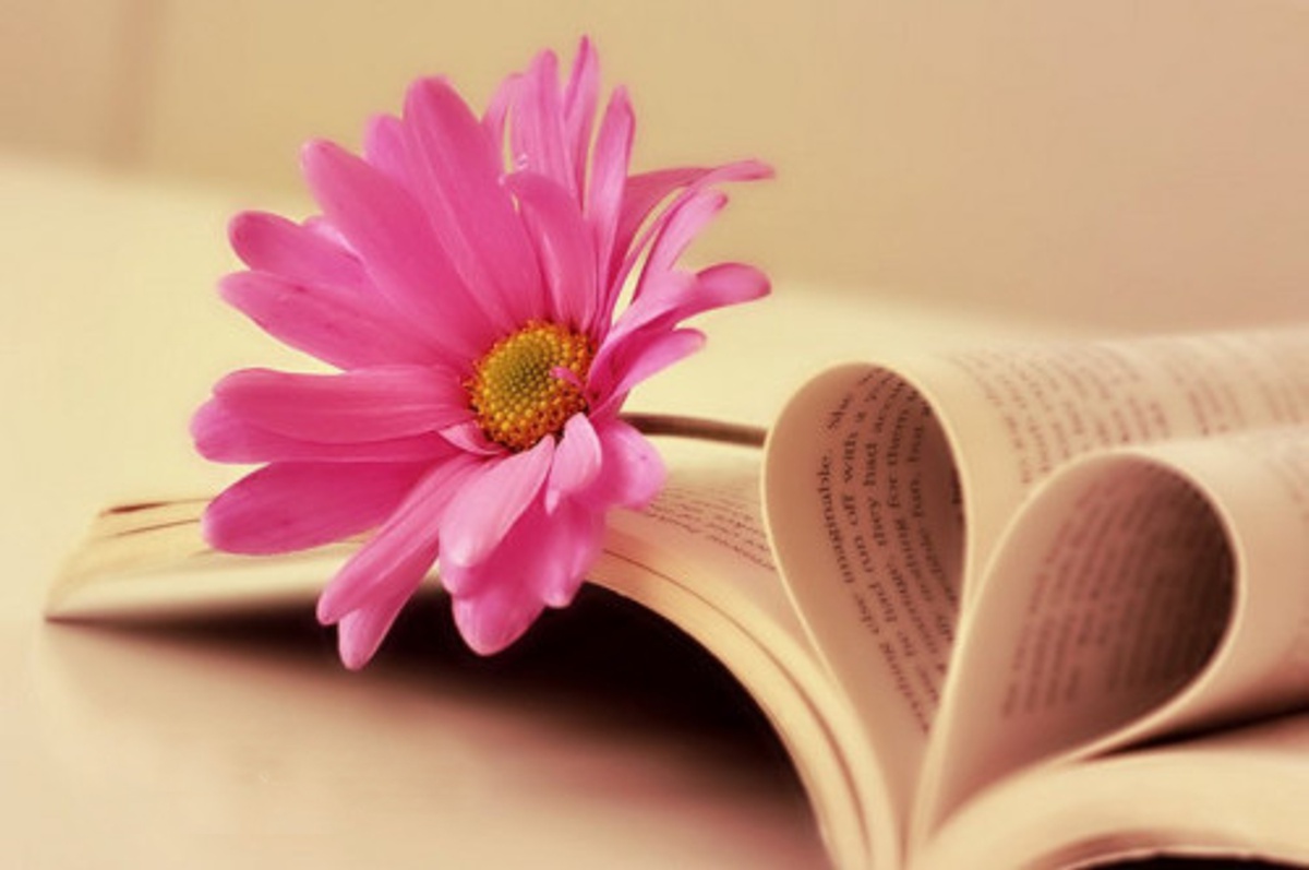 Dzień Bibliotekarza