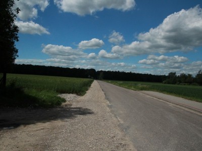 Przebudowa drogi Przyłęk Duży – Kobylin