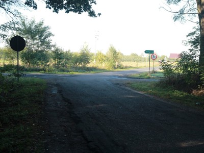 Przebudowa drogi Przyłęk Duży – Kobylin
