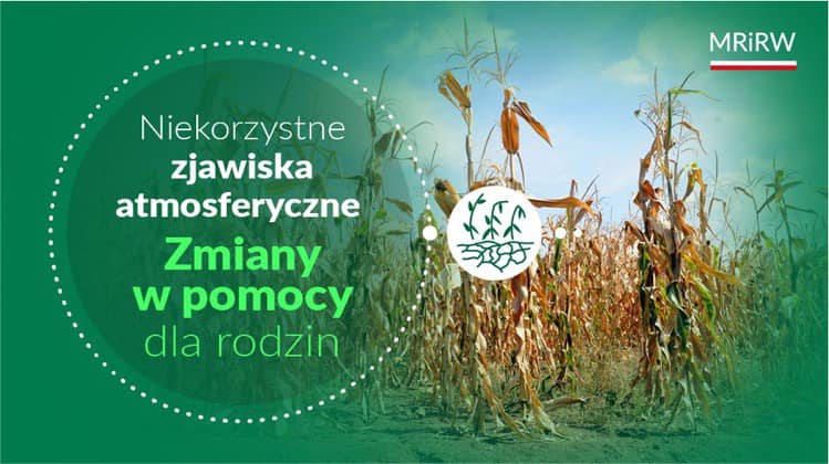 Zmiany w pomocy dla rodzin
