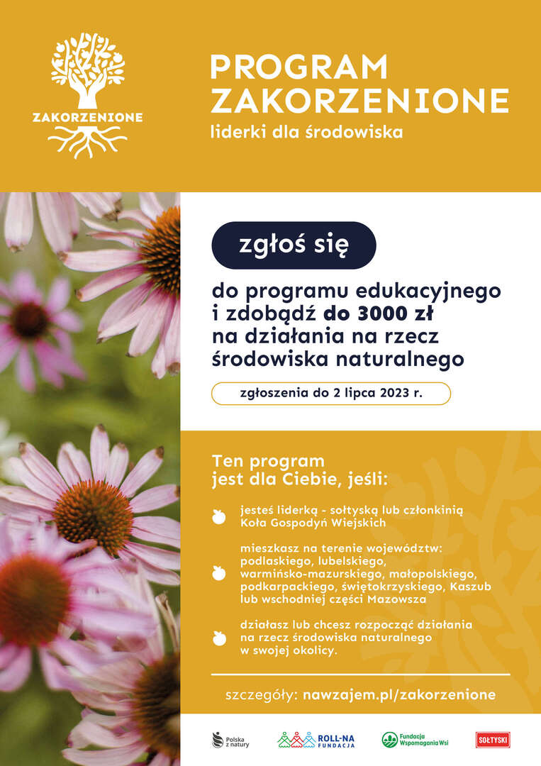 Plakat