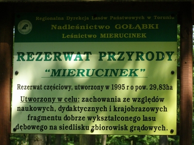 Rezerwat przyrody Mierucinek