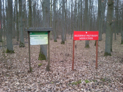 Rezerwat przyrody Mierucinek