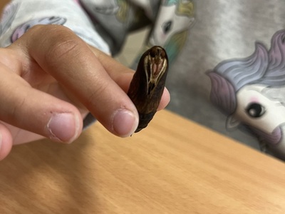 zdjęcie z realizacji projektu.