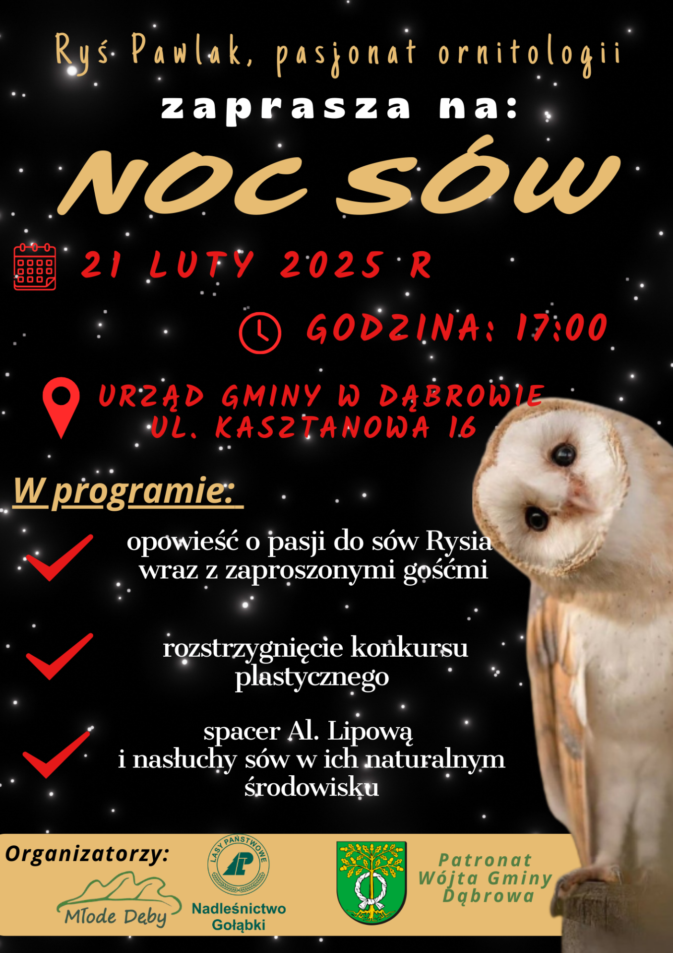 Plakat informujący o wydarzeniu "Noc sów"