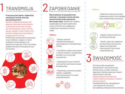 Ulotka informacyjna o pryszczycy