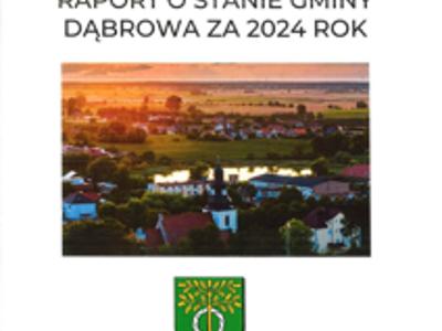 zdjęcie strony raportu