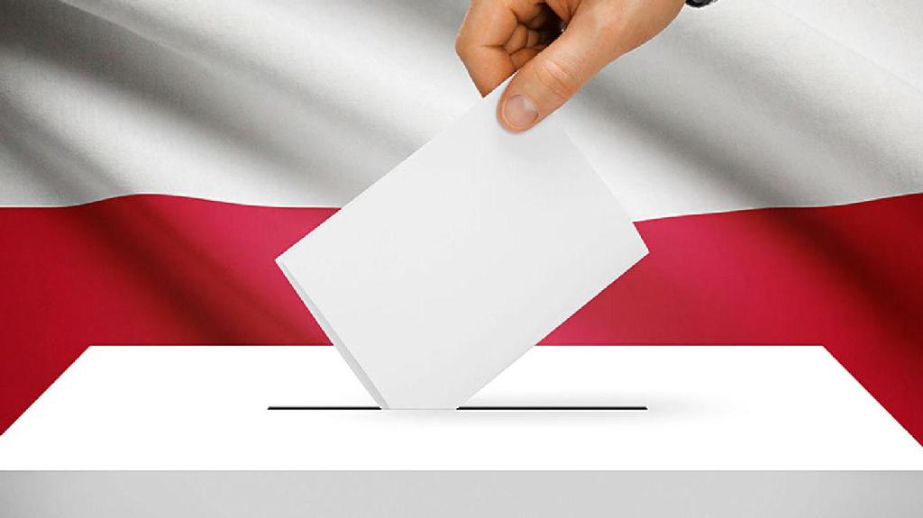 wybory uzupełniajace grafika