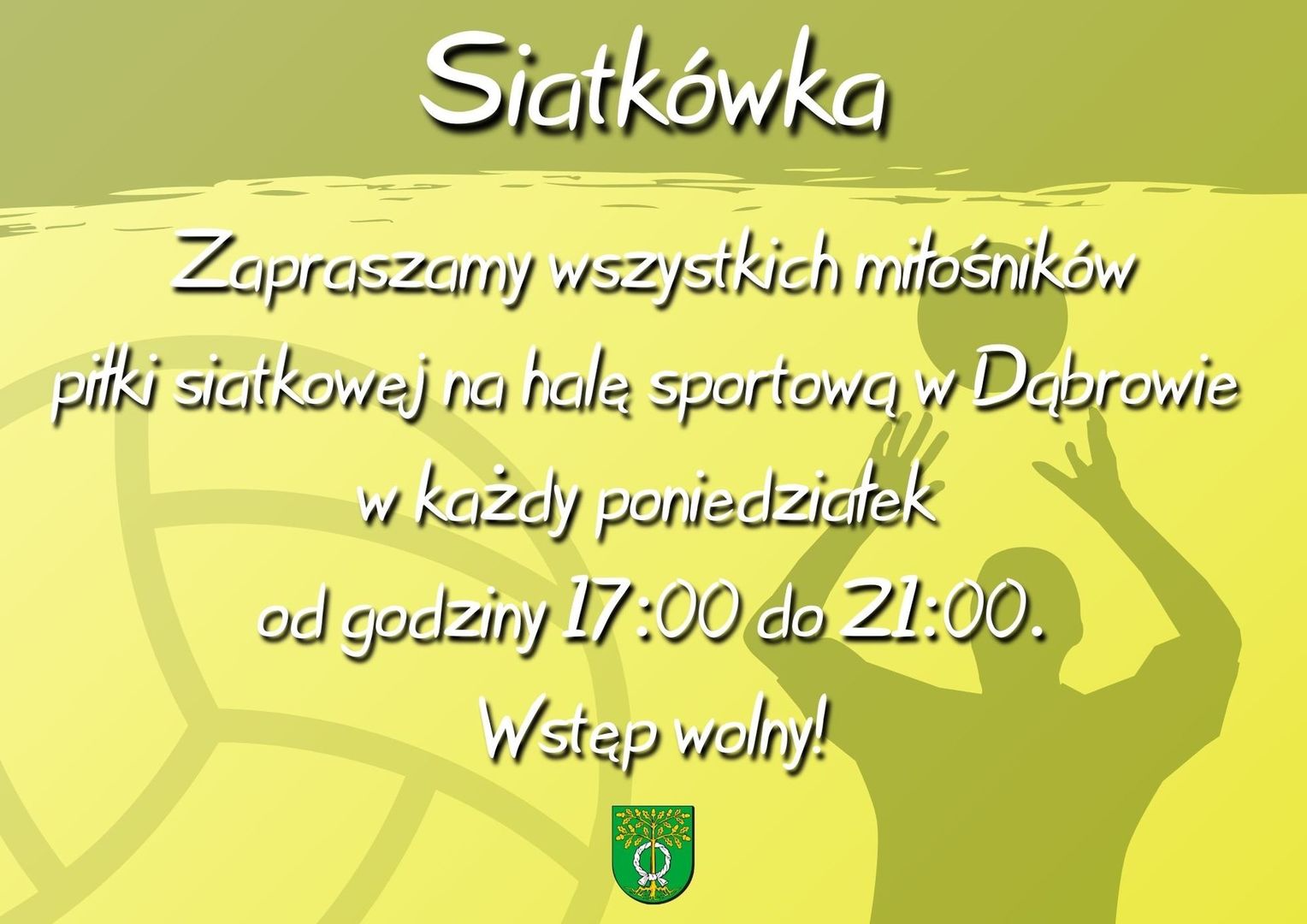 Siatkówka w Dąbrowie