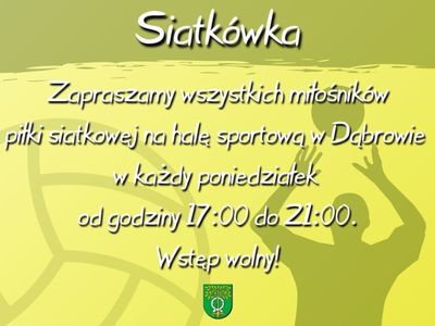 Siatkówka w Dąbrowie