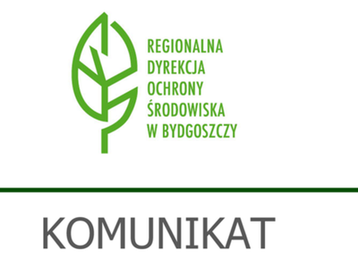 grafika