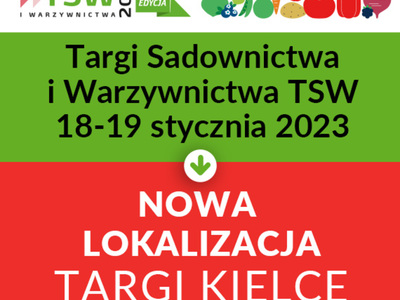 grafika