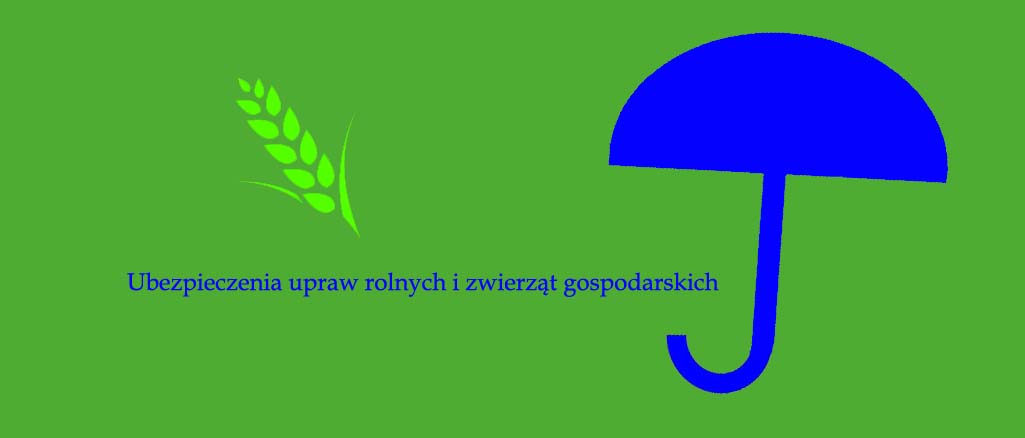 grafika