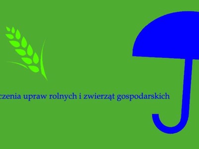 grafika