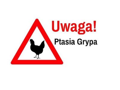 grafika