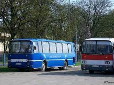 zdjęcie autobusów.