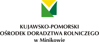 grafika