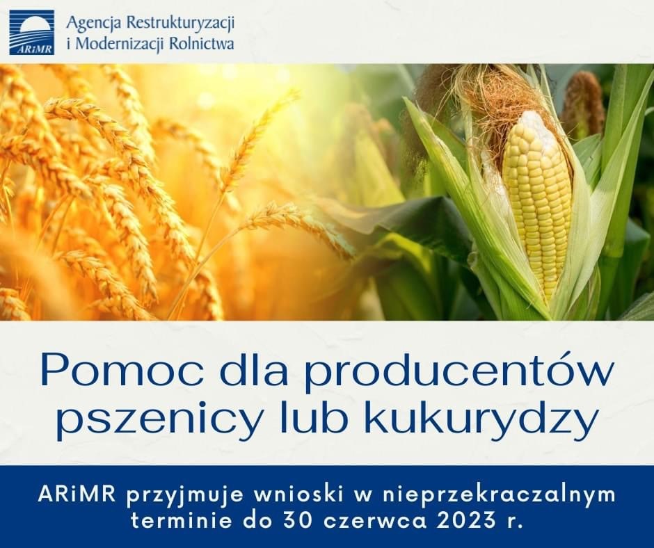 grafika