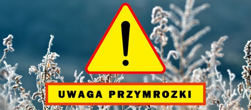 grafika