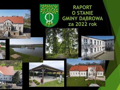 grafika raport
