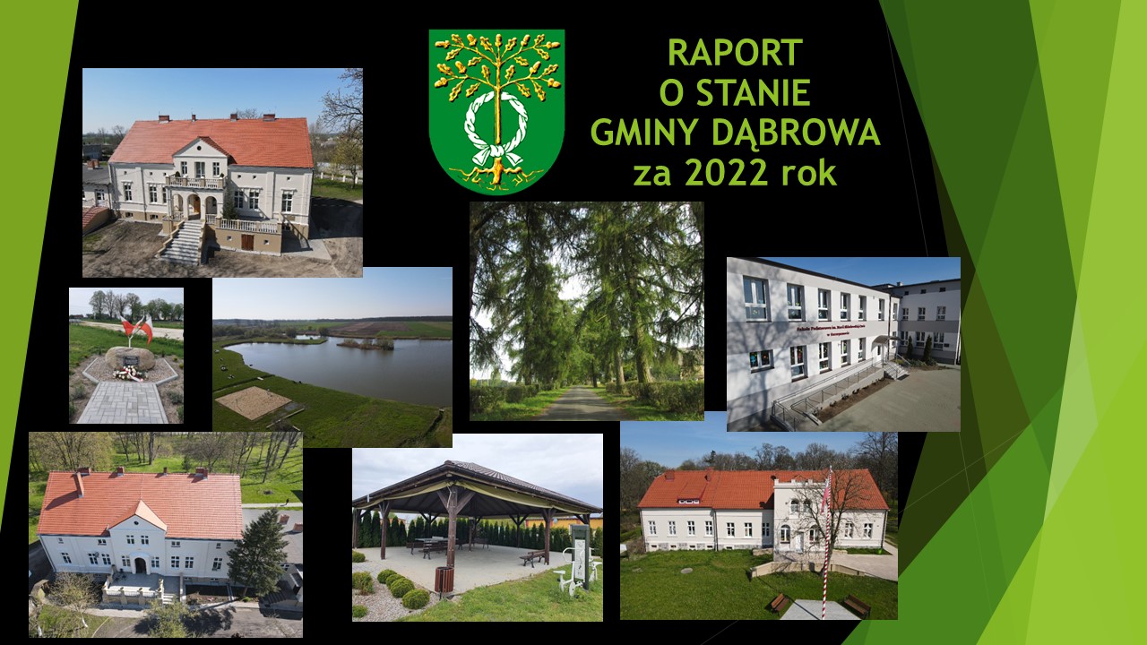grafika raport