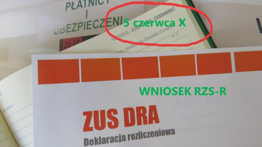 grafika ZUS.