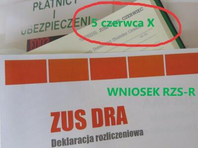 grafika ZUS.