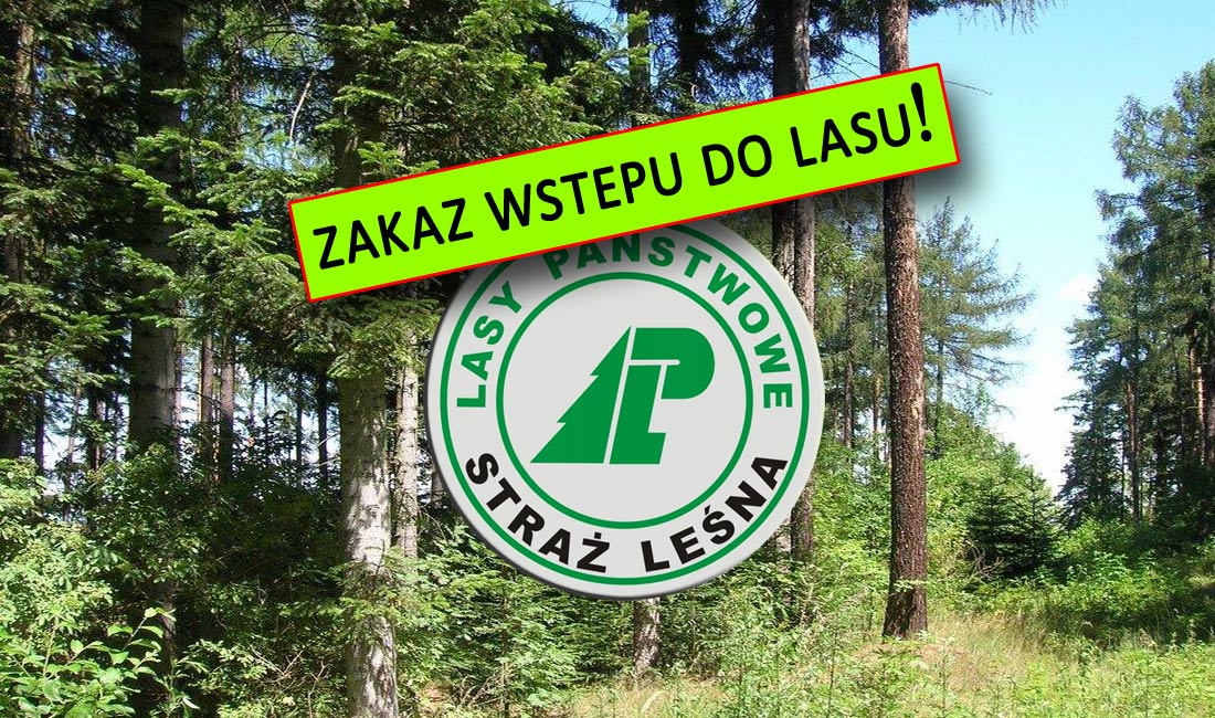 Grafika